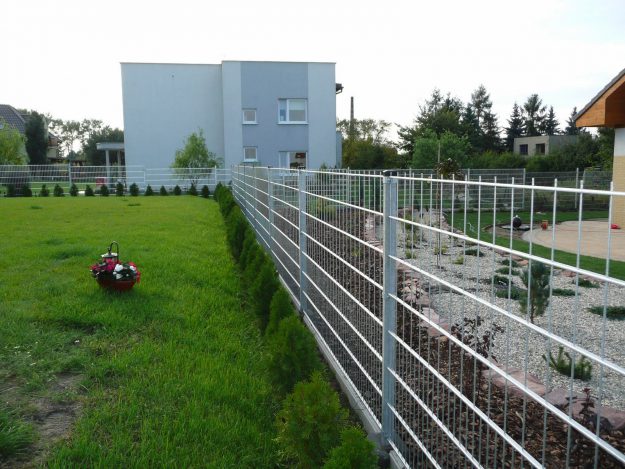 P1030540 (Kopiowanie)